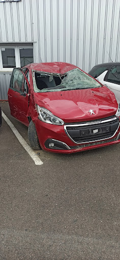 Aperçu des activités de la casse automobile AUTO PIECES SENS située à SENS (89100)